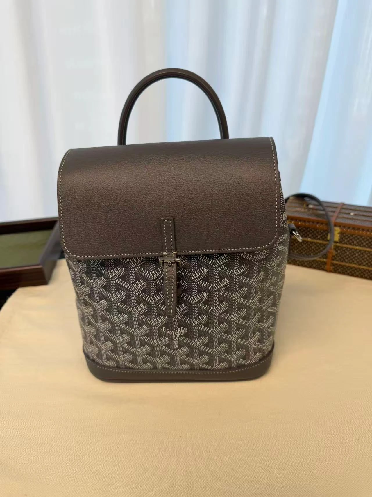 Goyard Alpin 2 Mini