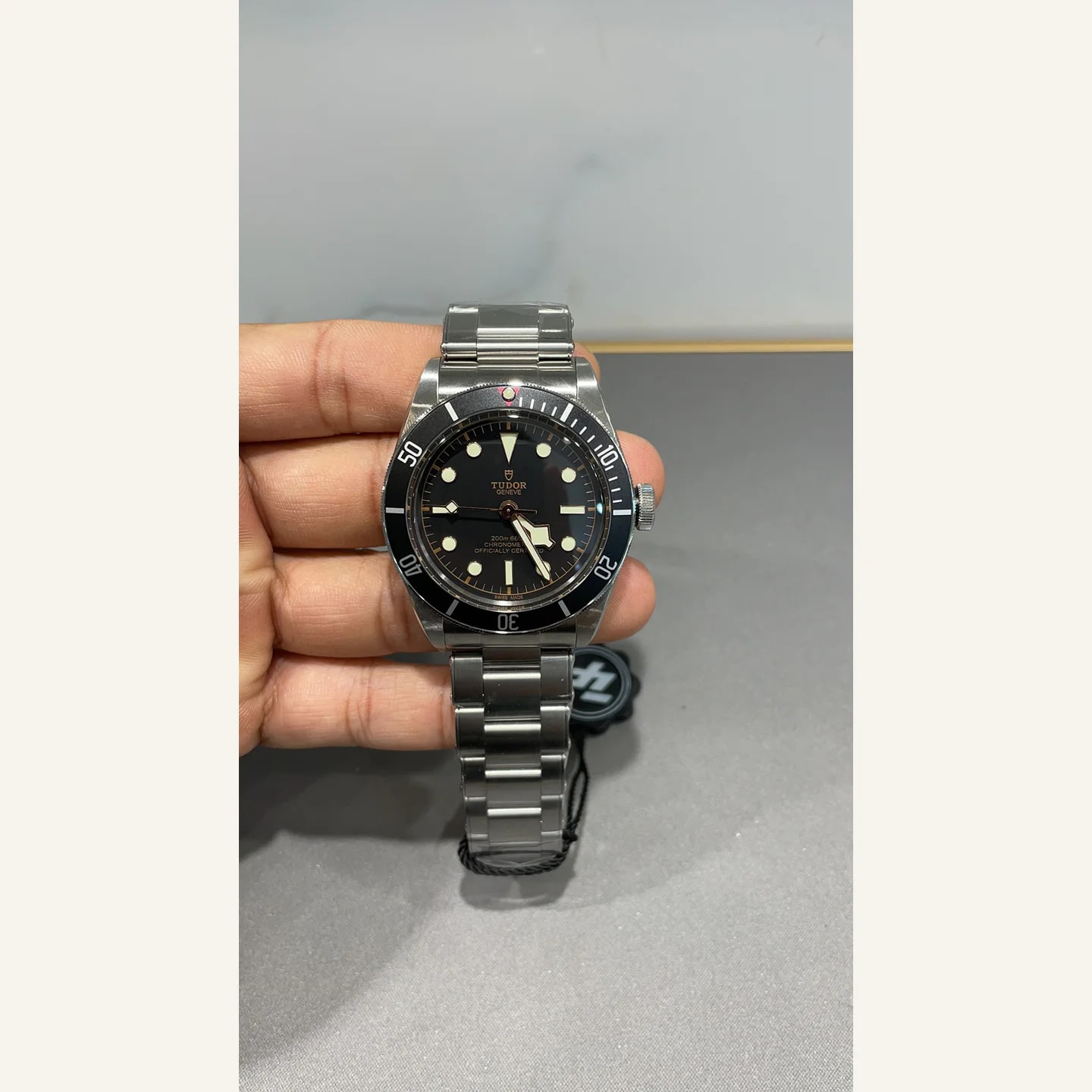 Tudor Black Bay