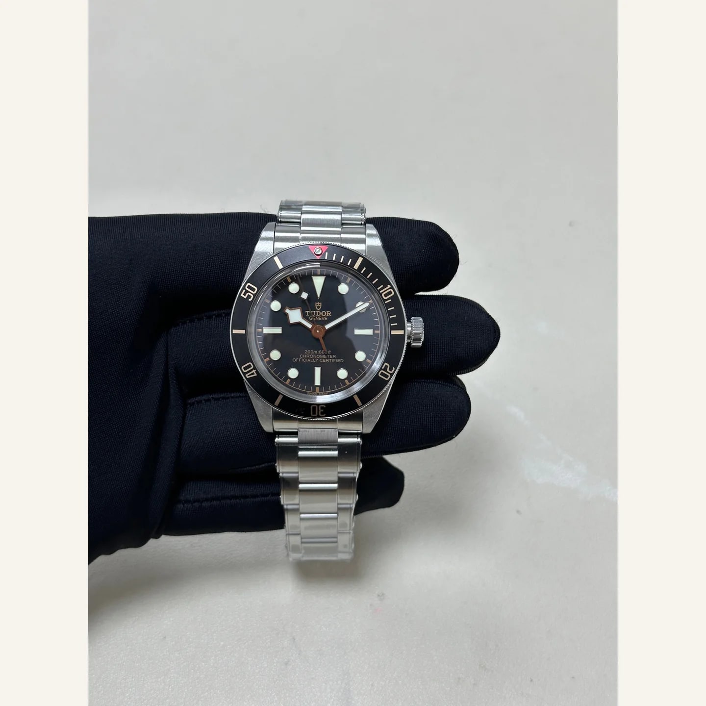 Tudor Black Bay
