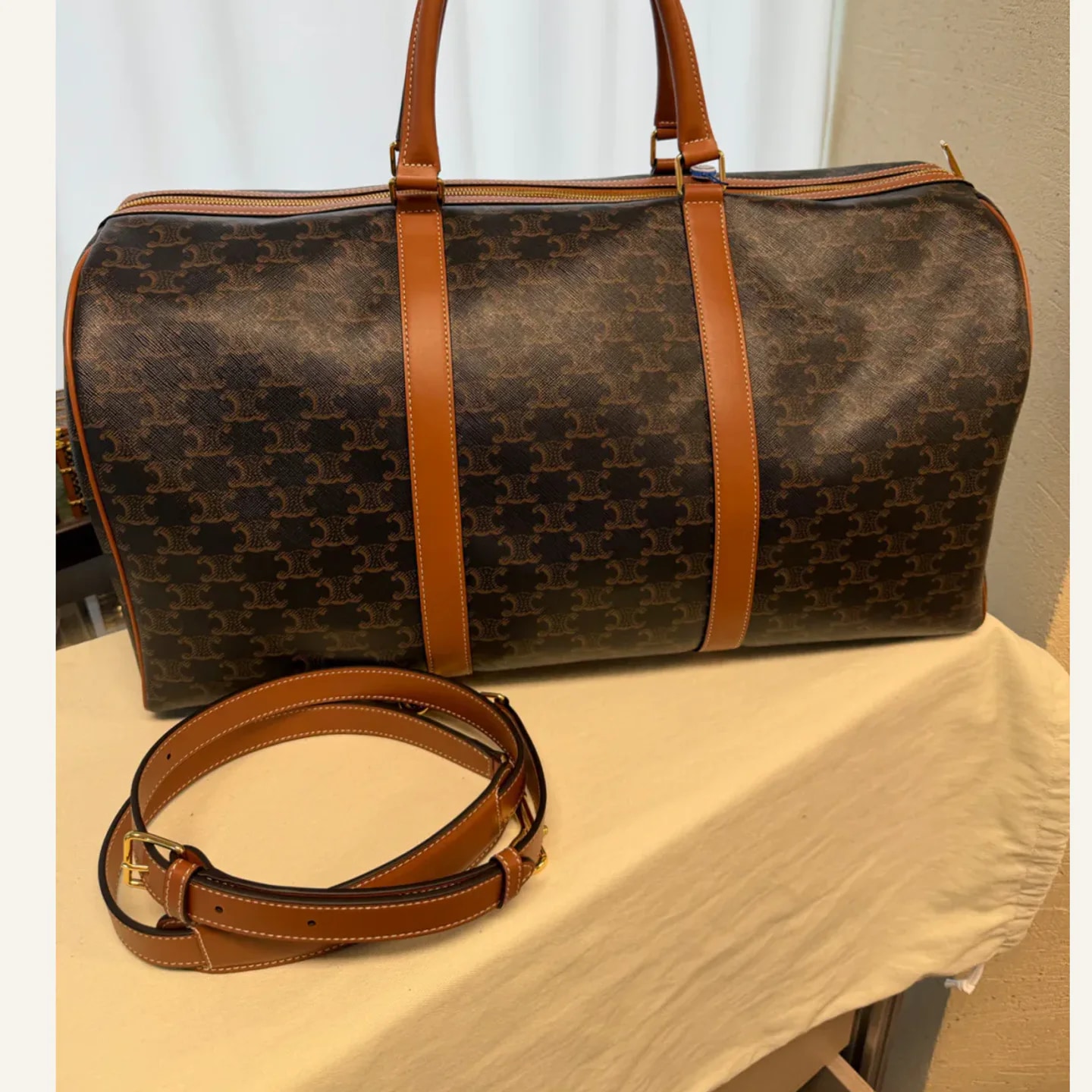 Celine Medium Travel Bag in Triomphe Canvas and Calfskin
