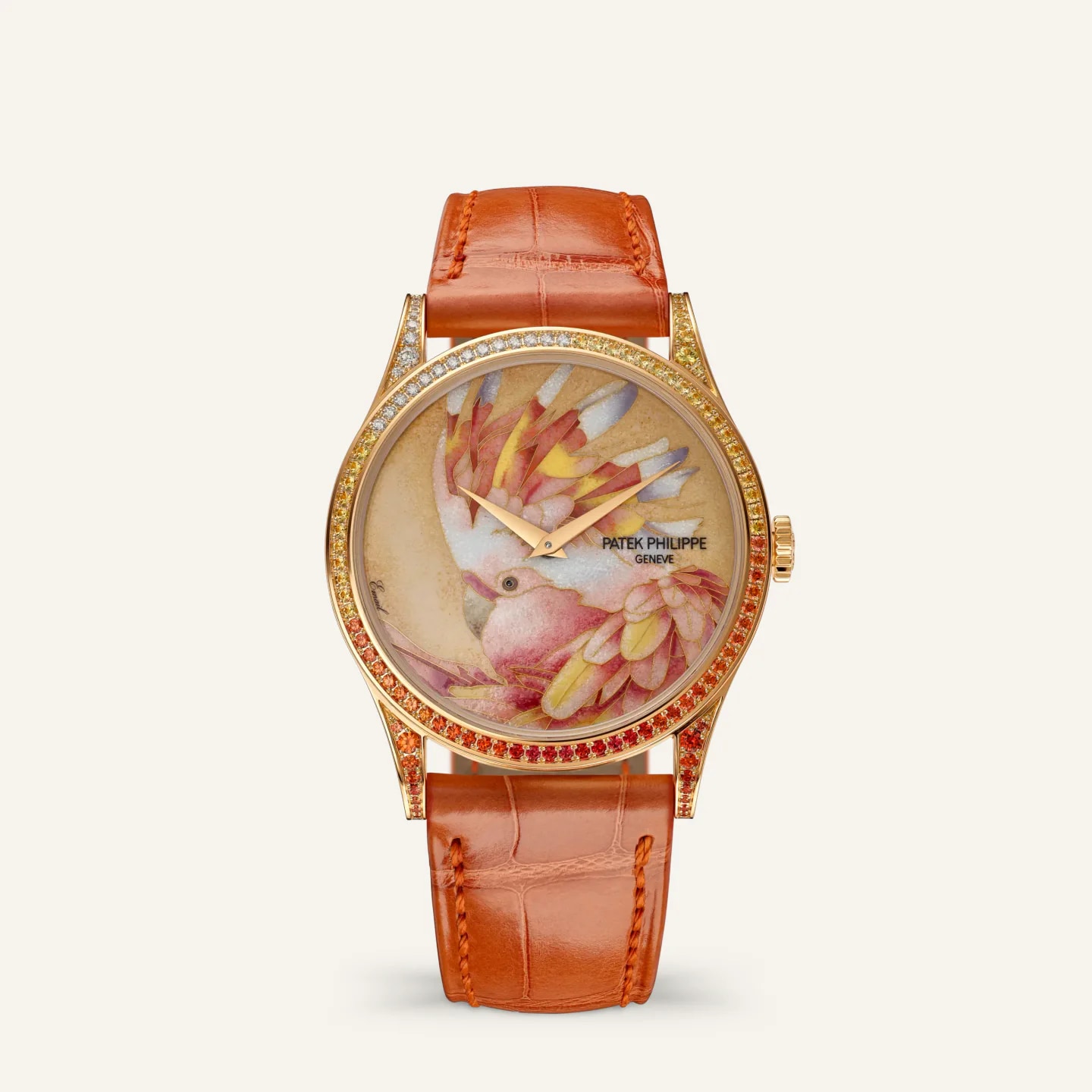 Patek Philippe Rare Handcrafts