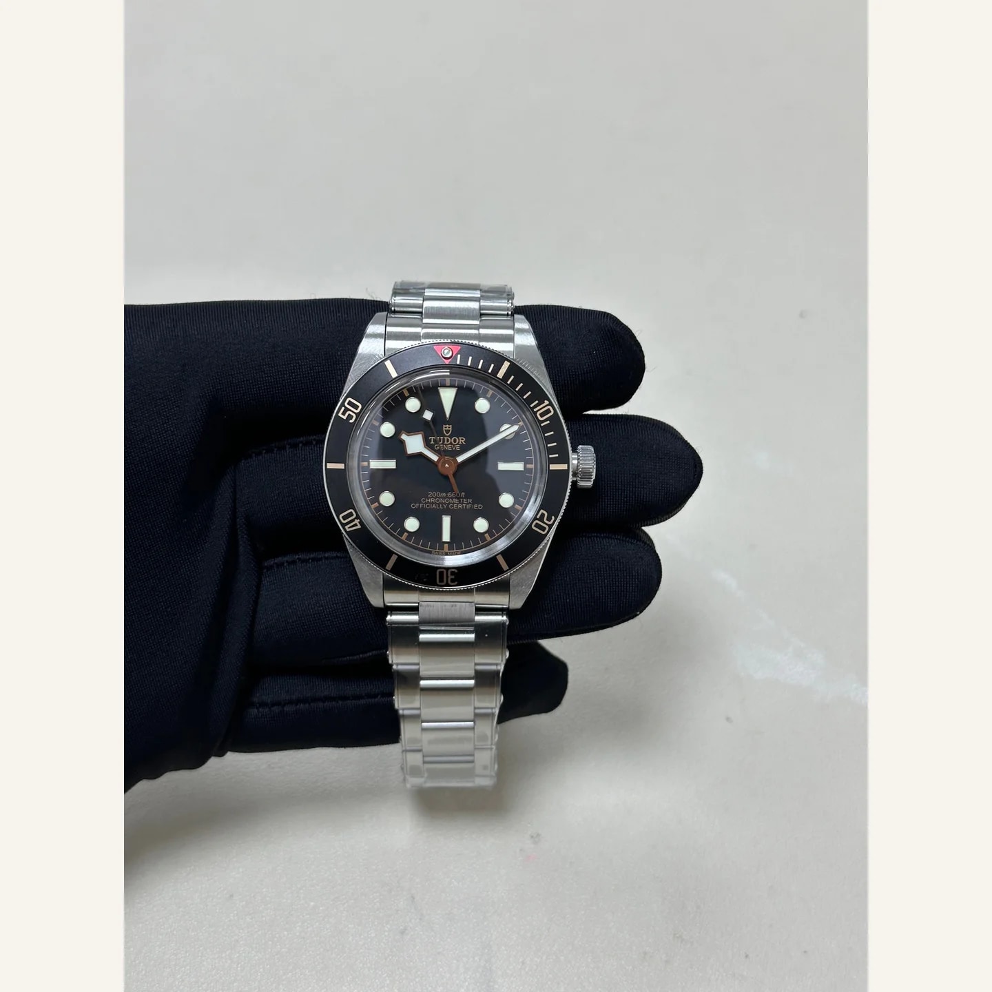 Tudor Black Bay
