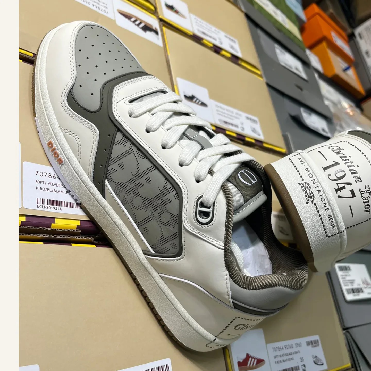 Dior B27 Low-top Sneaker